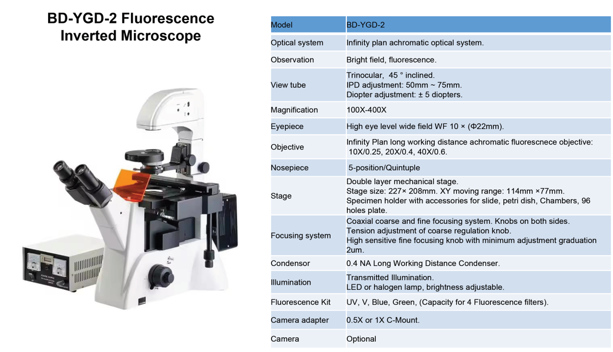 Inverted Fluorescence Microscope Phase Contrast