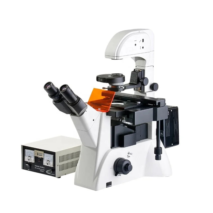 Inverted Fluorescence Microscope Phase Contrast