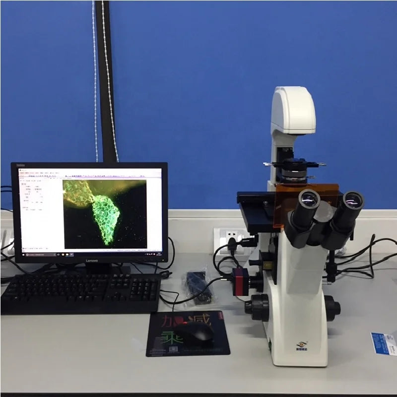Inverted Fluorescence Microscope Phase Contrast