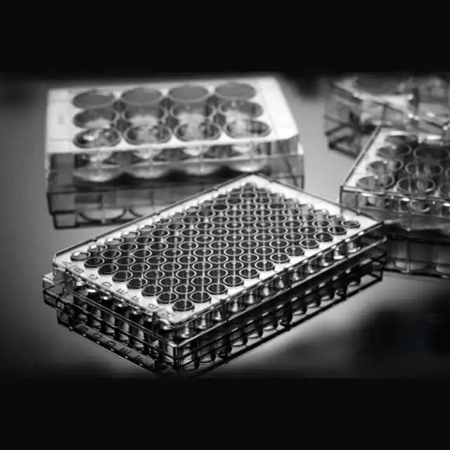 Tissue Culture Plate cell culture plate for lab (50 Unit)