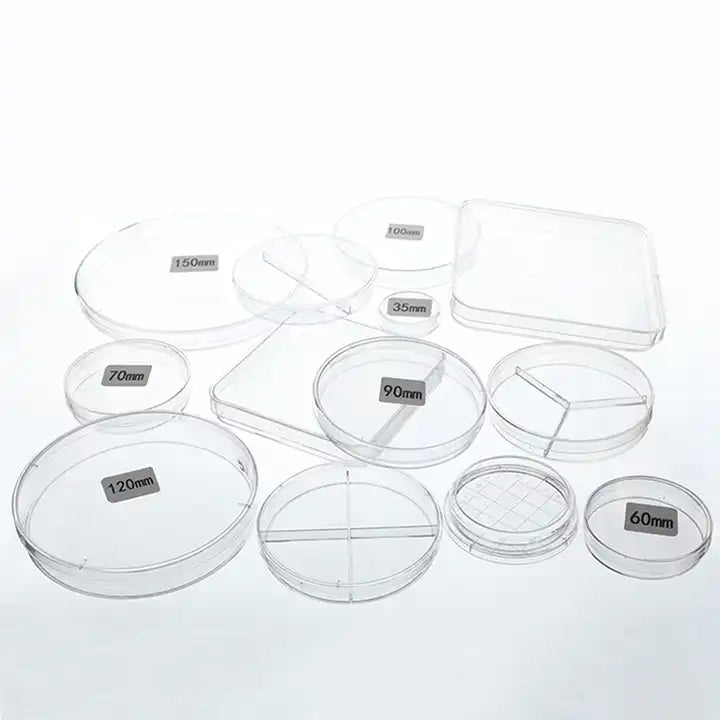 Petri dish with Petri-Pad
