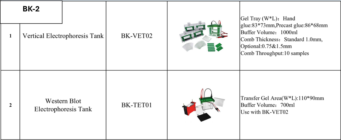 Electrophoresis Vertical
