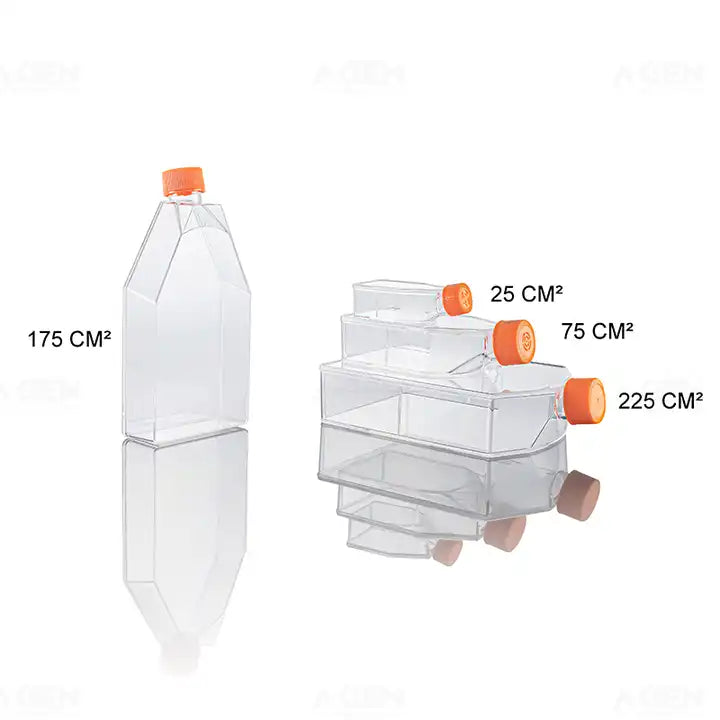 Cell Culture Flask, Tissue Culture Flask (50 units)