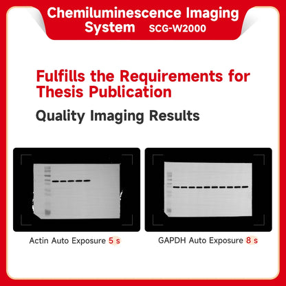 Ultrasensitive Gel Imaging System, Automatic Chemiluminescence Imager, Western Blot Imaging Machine