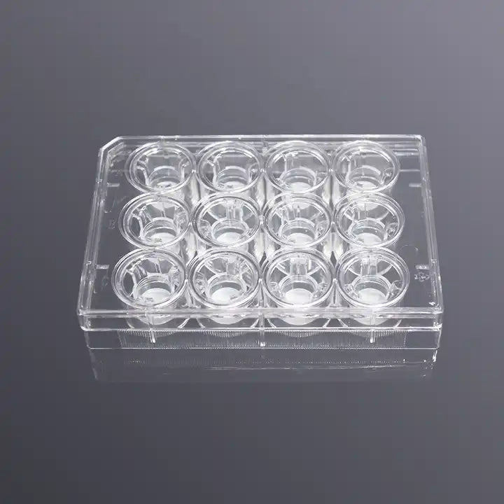 Cell Culture Insert, PC-membrane