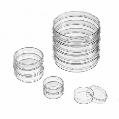 Petri dish with Petri-Pad