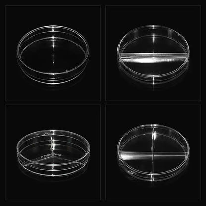 Petri dish with Petri-Pad