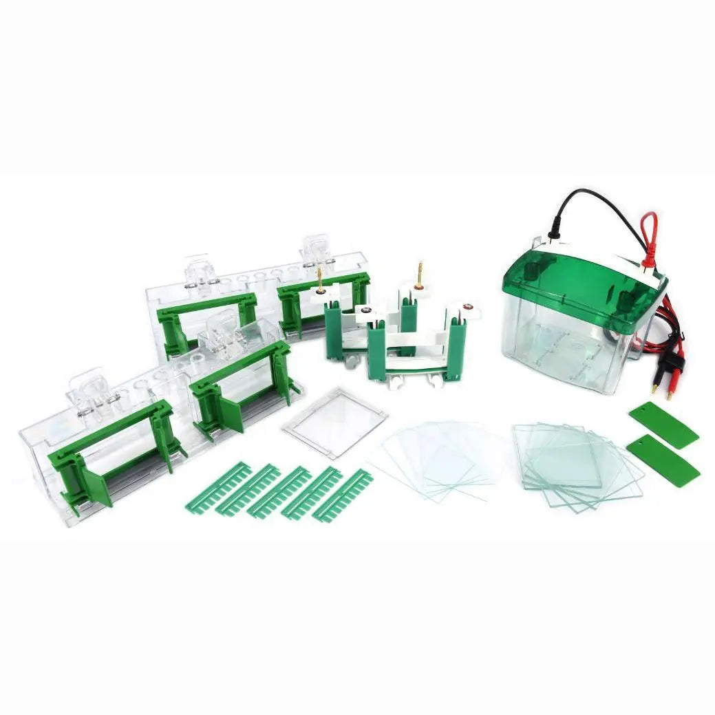 Electrophoresis Vertical