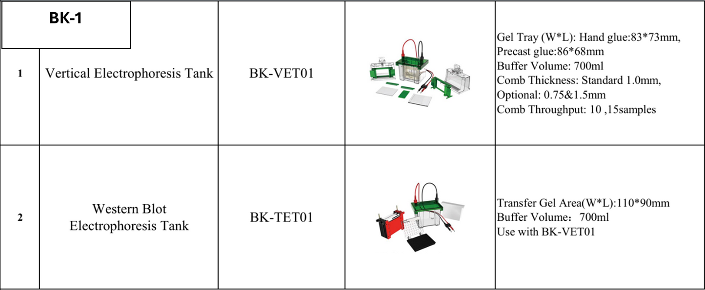Electrophoresis Vertical