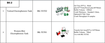 Electrophoresis Vertical